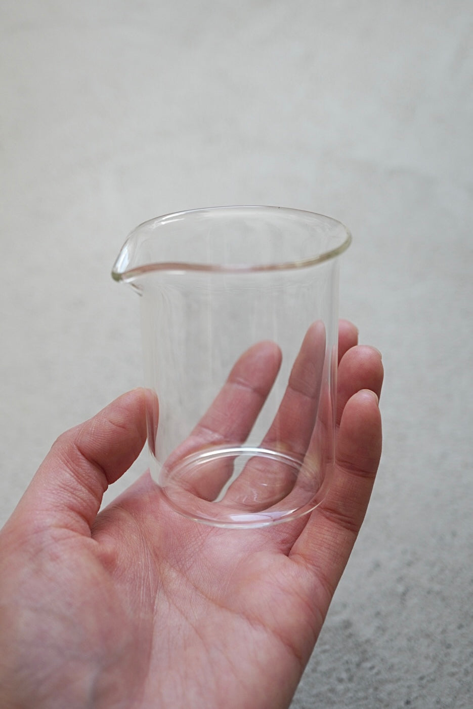 BOROSIL Beaker 100 Blank