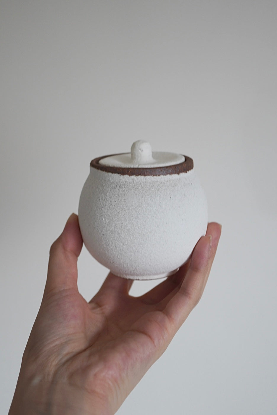 Stay-Dry Salt Pot / さらさら塩壺｜信楽焼