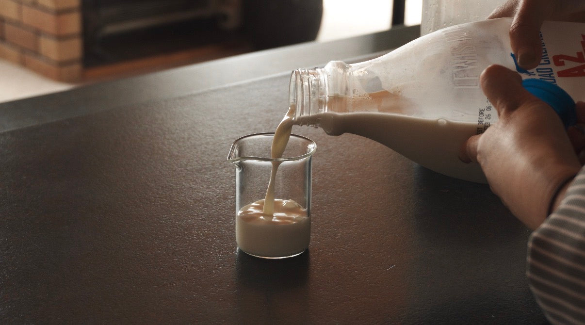 BOROSIL Beaker 100 Blank